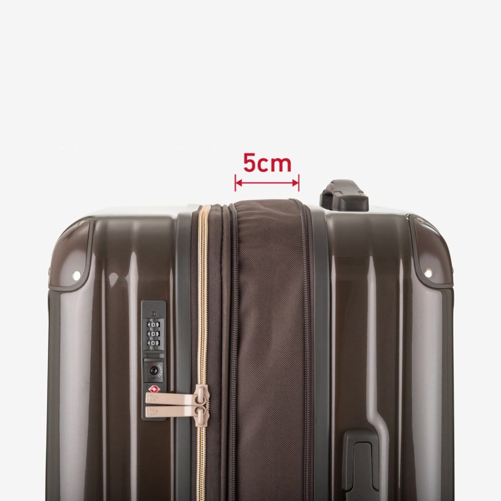 ましゃー マックスキャリー G-1レザーフライトジャケット ブラウン Max Mara（マックスマーラ） コート タイガー Max Mara Studio