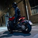 佇む姿を見て楽しむことができるのも魅力