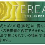 テリア ステラー パール ¥580 20本入り