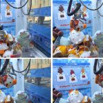 8回目についに獲得！