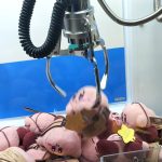 カービィの景品は難易度が高かった