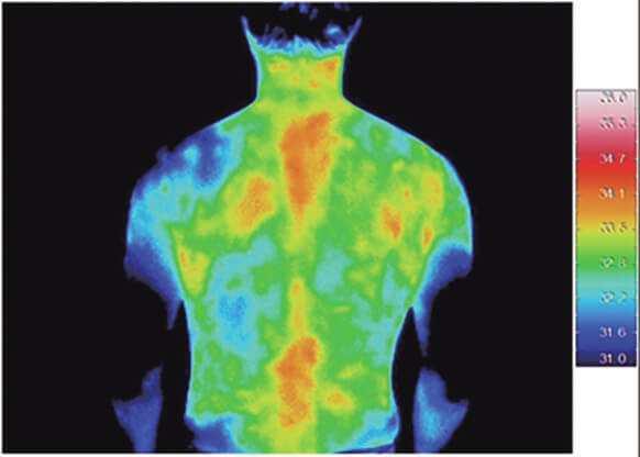 カインズ
疲労回復サポートウェアトップス　￥3,980（ブラック）
疲労回復サポートウェアパンツ　￥3,980（ブラック）
