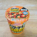 日清食品 カップヌードル バターチキンカレー ビッグ