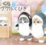 特別仕様の動画