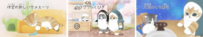 特別仕様の動画