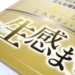 第3位　【ドンキ】“生感まくら”って何？ 他社の半額級!? 謎の3D形状を1ヶ月使ってみたら…お値段以上の完成度だった