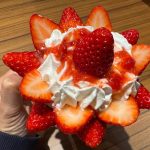 片手で持てないほど重い！