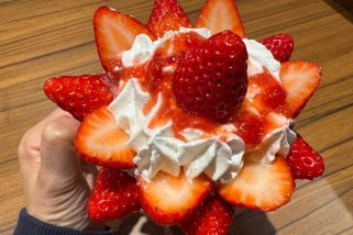 【もはやケーキ!?】びっくりドンキーの「ジョッキパフェ」が今年もヤバい！“デカ盛り”完熟いちごの山に溺れてきた