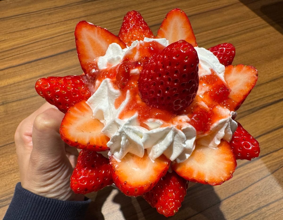 片手で持てないほど重い!