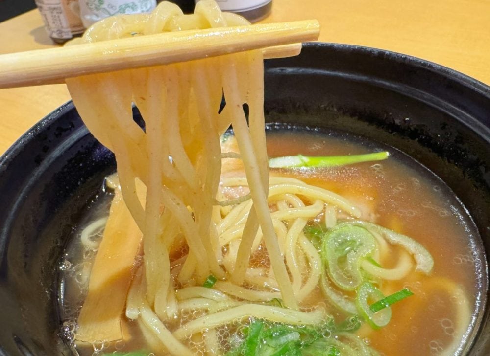 とろみのあるコク深いスープが麺にまとわりつき、あとを引く一杯に仕上がっています