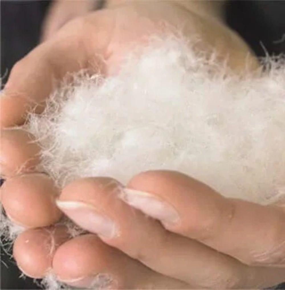 第3位 【SDGs時代の傑作ダウン】暖かさだけじゃない。コロンビア「RDSダウン」が示す“動物福祉”という新基準『SDGsモノ』