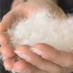 第3位　【SDGs時代の傑作ダウン】暖かさだけじゃない。コロンビア「RDSダウン」が示す“動物福祉”という新基準『SDGsモノ』