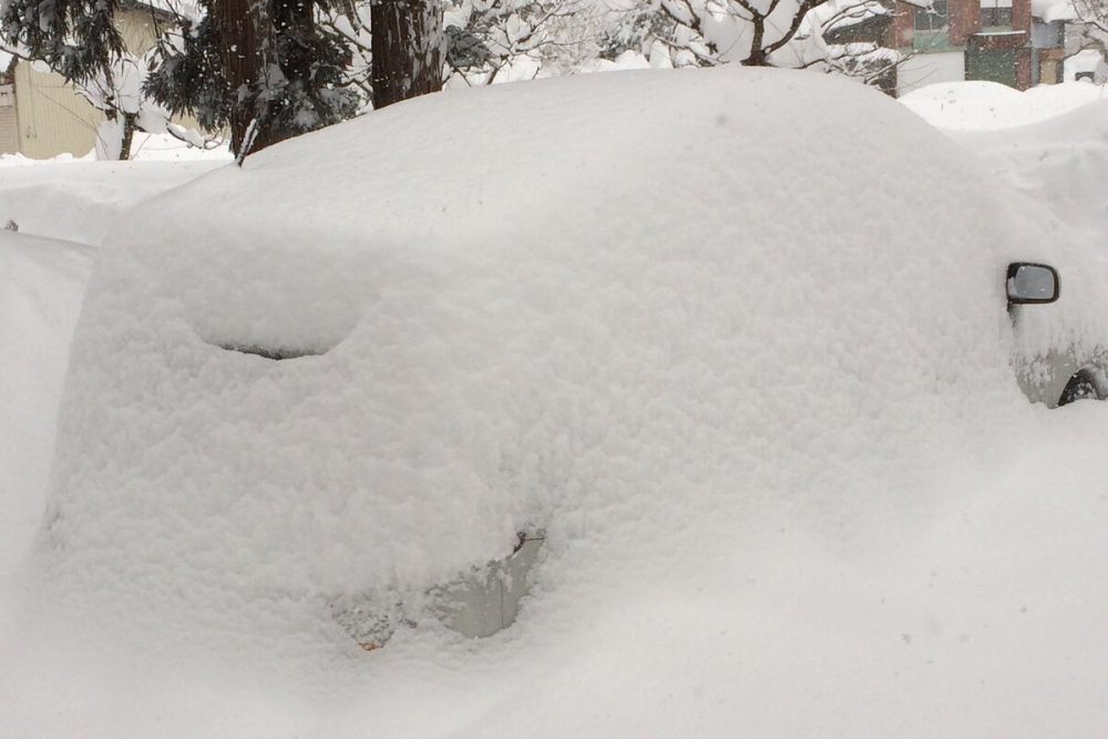 今やどの地域でも雪が降ってもおかしくない日本