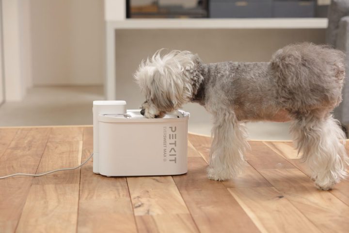 【全ペット飼い主必見】食洗機で丸洗いOK!最大83日稼働「次世代のコードレス自動給水機」が超優秀