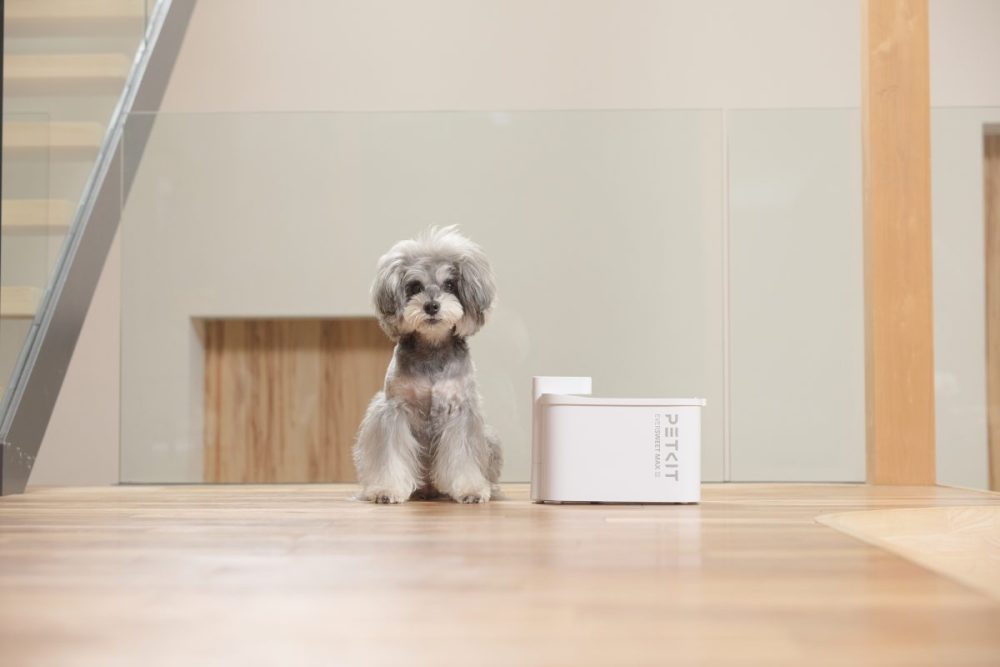 【停電時でも給水継続】ペットブランド・ペットキットの最新給水機は最長83日間稼働するコードレスタイプ!食洗器にも対応