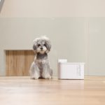 【停電時でも給水継続】ペットブランド・ペットキットの最新給水機は最長83日間稼働するコードレスタイプ!食洗器にも対応