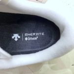 DESCENTE ENERZITE RIDE V2