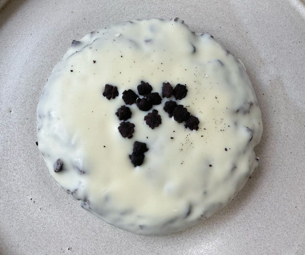 濃厚なチョコビスケット