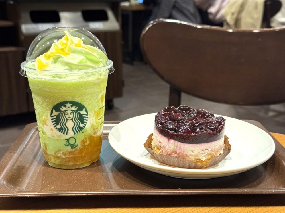 「THE フラペチーノ of メロン of メロン」と「ブルーベリーレアチーズケーキ」