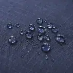 第1位　【この付録ガチでスゴい】365日毎日使える！紀ノ国屋とのコラボトートバッグは「大容量」「水に強い」「便利ポケット搭載」と“完璧仕様”なんです！