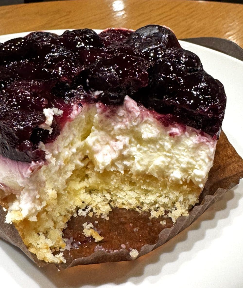 「ブルーベリーレアチーズケーキ」