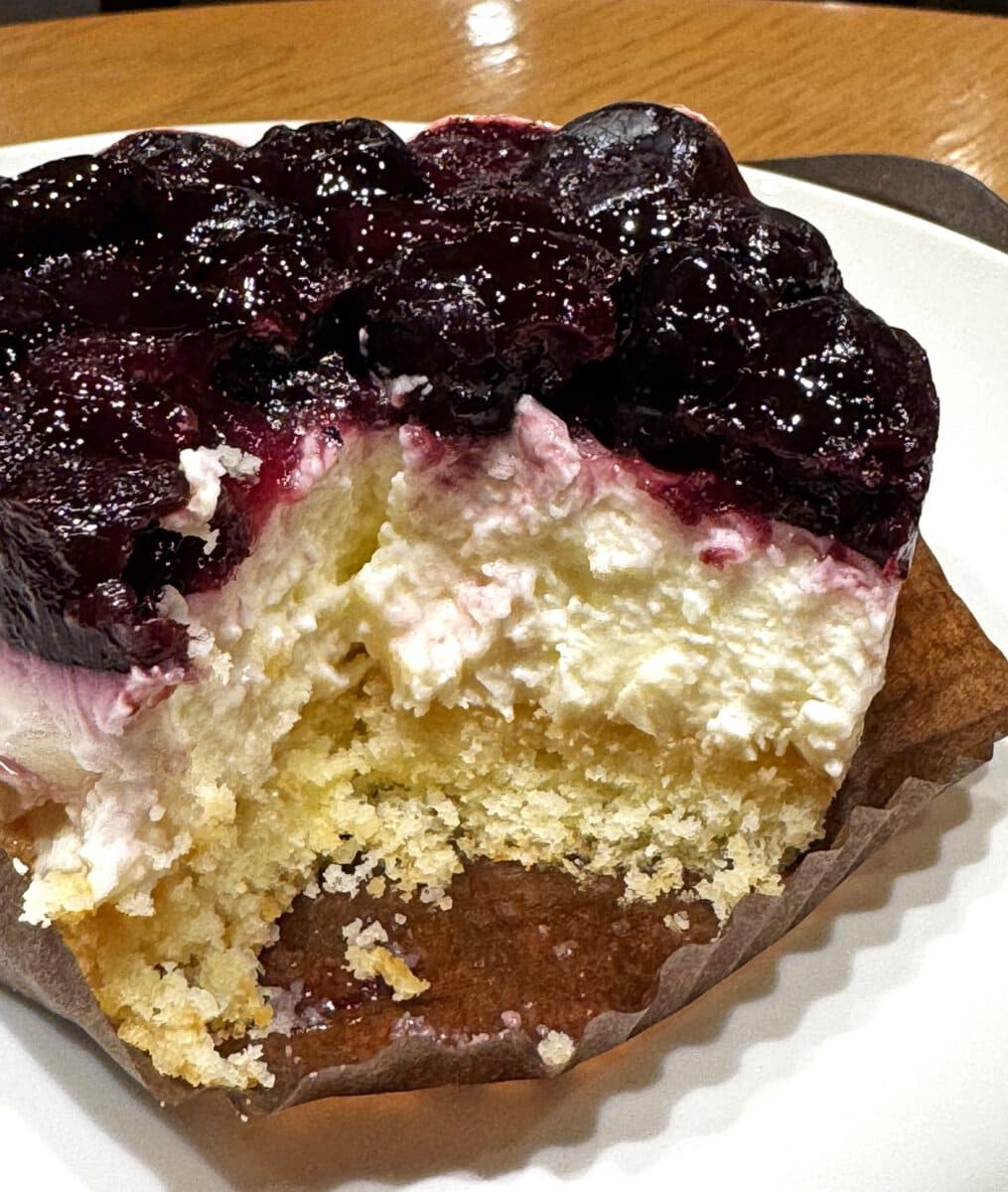 「ブルーベリーレアチーズケーキ」