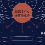 繊維内に美容液成分のビタミンEが練り込まれた生地。布製品でありながら、医薬品医療機器等法による「化粧品」として届出されている