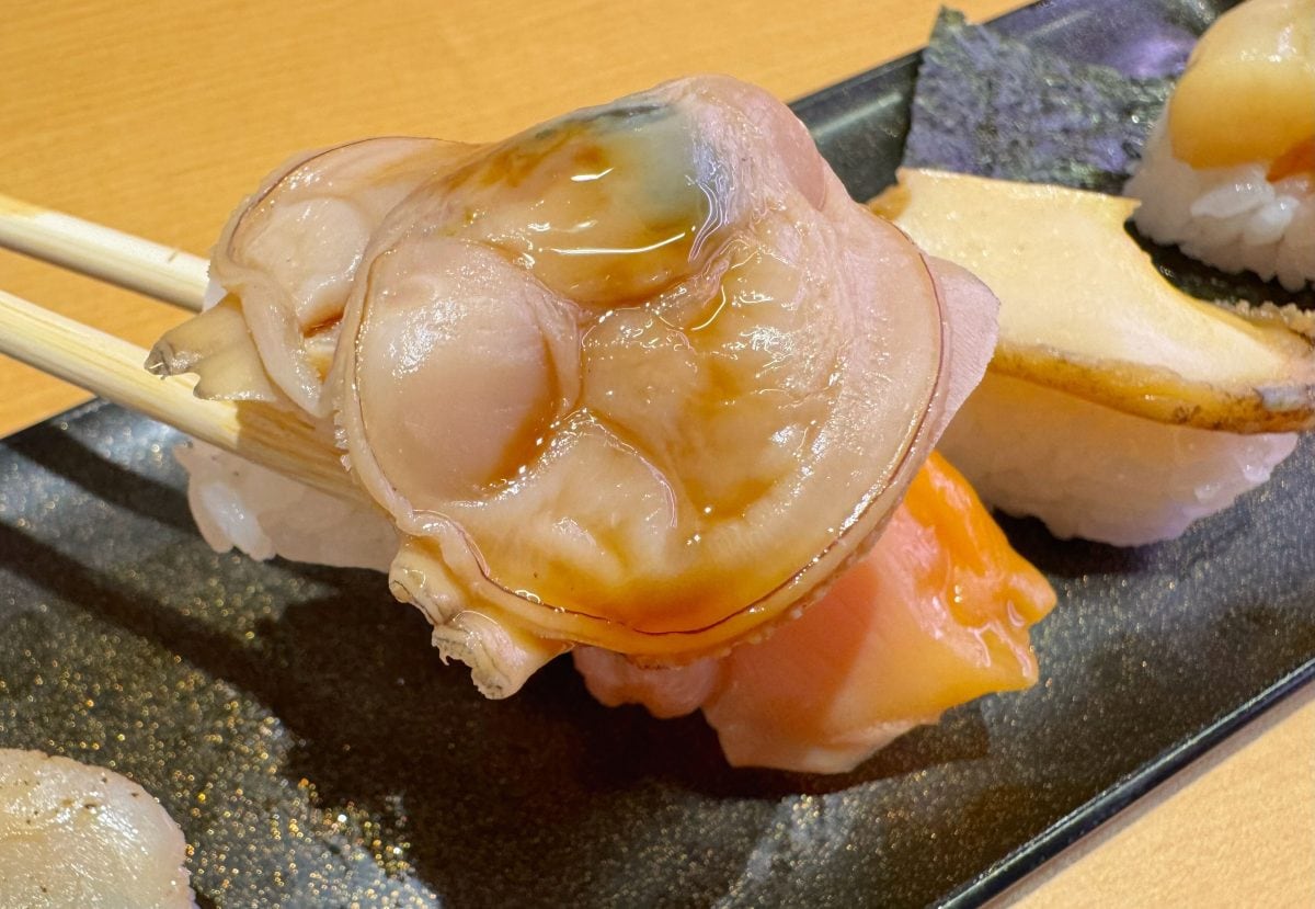 貝好きにおすすめ！