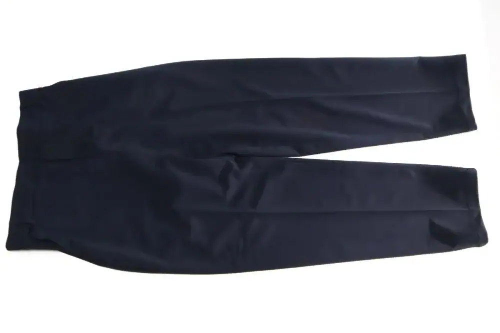 第2位　【さすがワークマン…だが】3点揃えてU5000円!? 卒業式にも着られる“新作セレモニー服”を着てわかった意外な弱点とリアルな正解