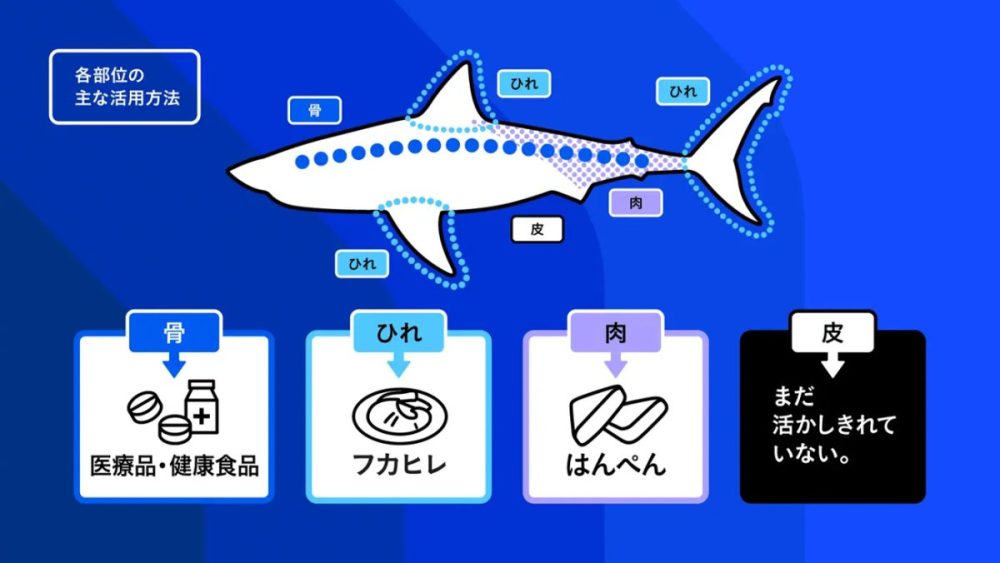 オーディオテクニカは、サメ皮をアップサイクル素材として生まれ変わらせることに挑戦