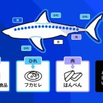 オーディオテクニカは、サメ皮をアップサイクル素材として生まれ変わらせることに挑戦