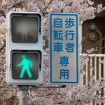 歩行者・自転車専用の信号。この場合は歩行者といっしょに進む