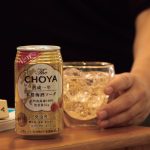 チョーヤ The CHOYA 熟成一年 本格梅酒ソーダ 希望小売価格￥220