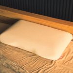 nishikawa　#005 punitoro（ぷにとろ） まくら