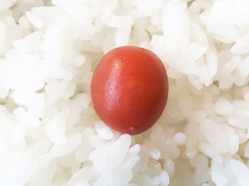 梅干しを入れれば抗菌と考えるのは間違い