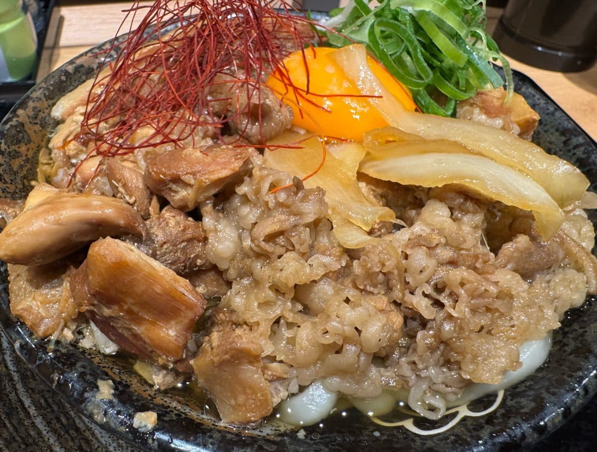 三種の煮込み肉まみれうどん 