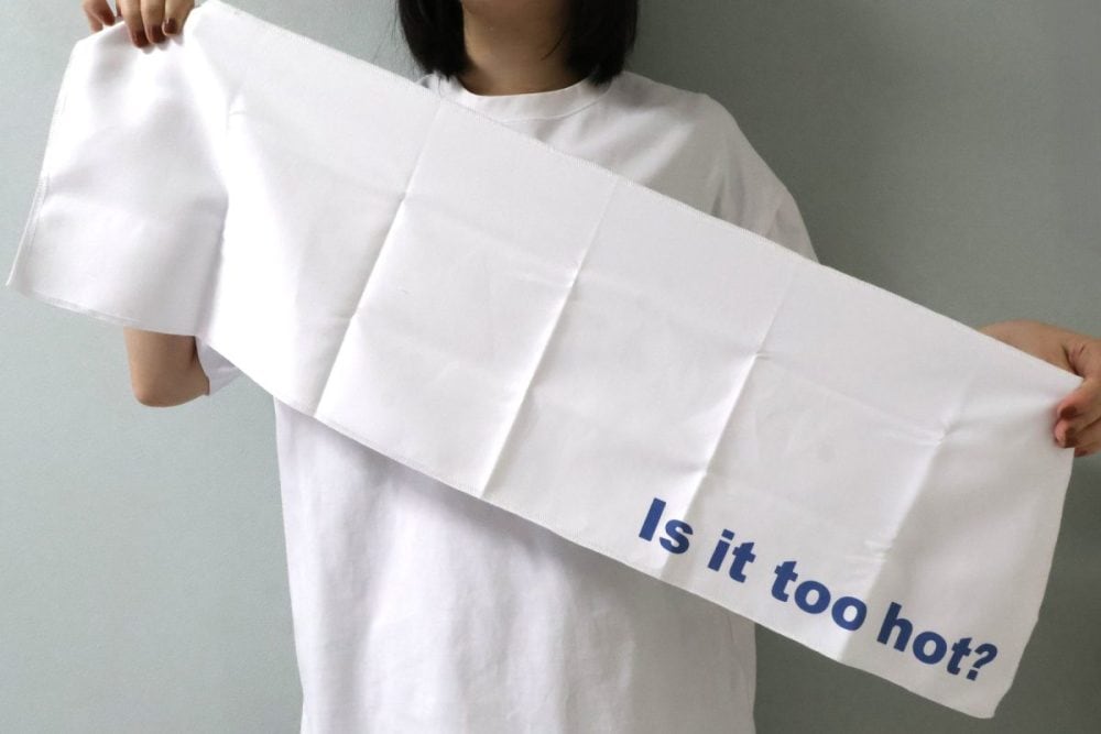 25×80cmのメガネ拭きっぽい触感のタオル