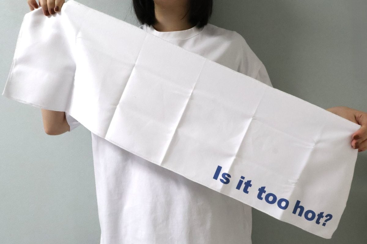 25×80cmのメガネ拭きっぽい触感のタオル