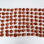111個の梅干し