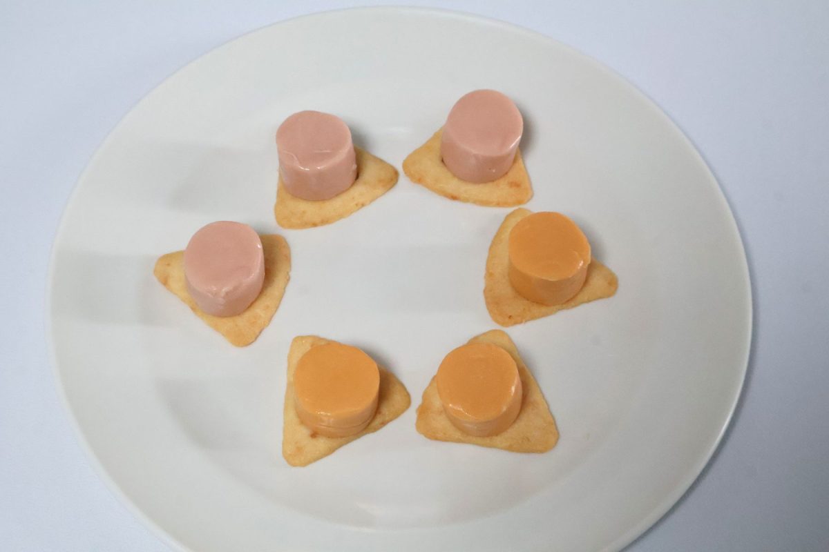 チーザの上に乗せるだけでもチーズ感が増す