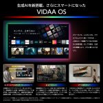 生成AIがもたらす「VIDAA」の進化