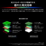 「RGB UXS」