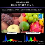 「U8S」バックライトの光を量子ドットで変換することで、特に緑と赤の色表現が大幅に改善され、純度の高い鮮やかな色彩を提供