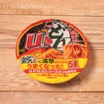 日清焼そばU.F.O. だしソースきつね焼そば