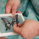 第1位　【玉鷲関の素顔】趣味の「手芸・刺繍」はプロ顔負け!? 鉄人力士を支える意外なメンタル術。 地方場所の必需品・裁縫セットも大公開