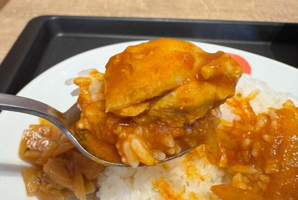 今までの松屋のカレーにはなかったような、少しアジアンな雰囲気のエキゾチックなカレー