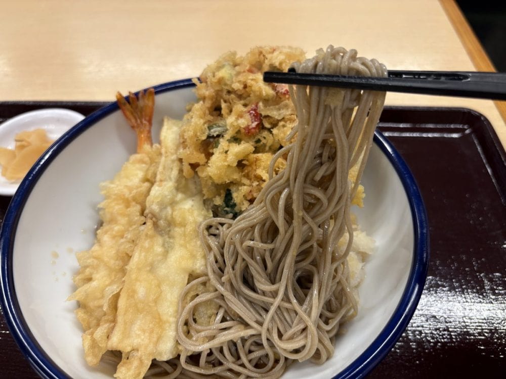 ⼤根おろし＆おろし⽣姜といった薬味も添えられているので、食欲が落ちているときでもさっぱり食べられそう