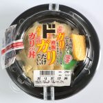 偏愛めし 「ガリ好きのためのガリだけ丼」