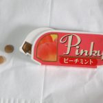 24年前のピンキー