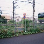 「写ルンです」で撮影した写真